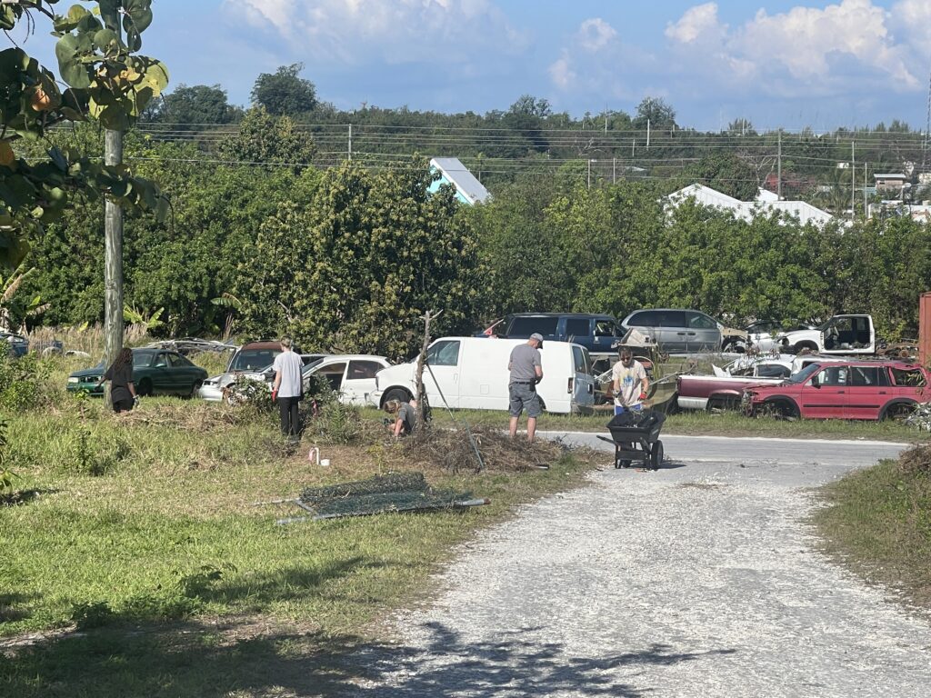 5 members of the Michigan team cleaning up a grass year and gravel driveway with a car junk yard in the background