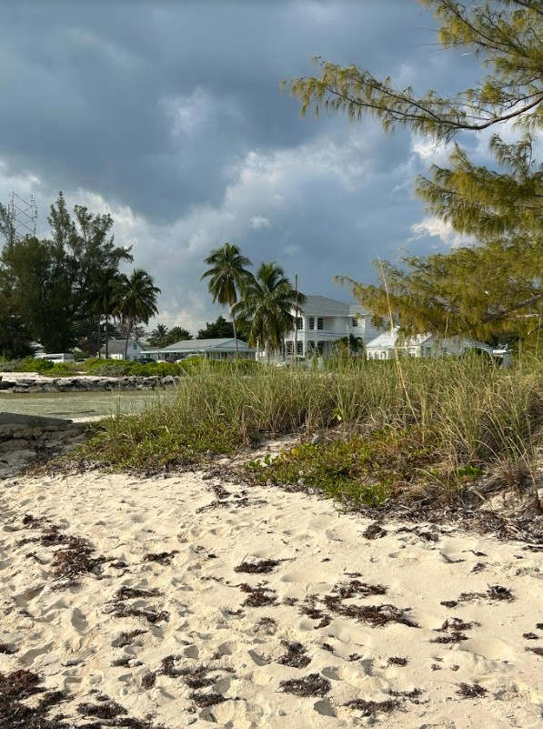 The beach with some grass and a white house in the background