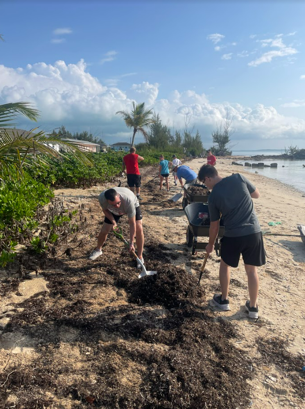 Team members cleaning up the dried seaweed on the beach