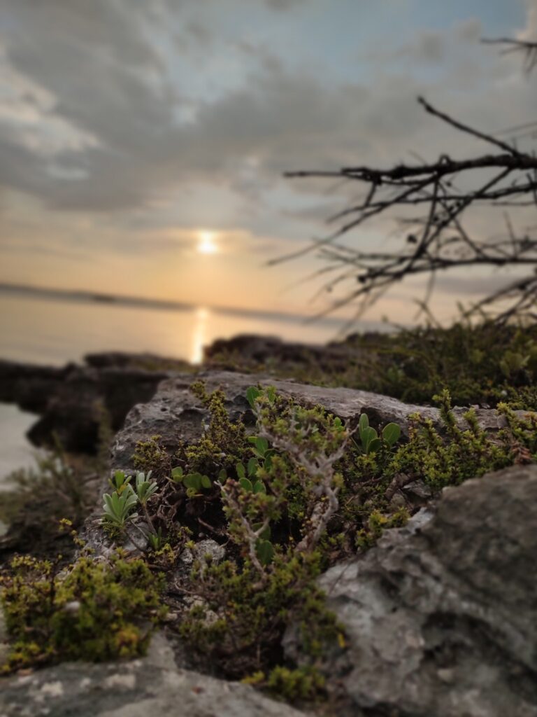 Sunrise over the rocks and water in Abaco