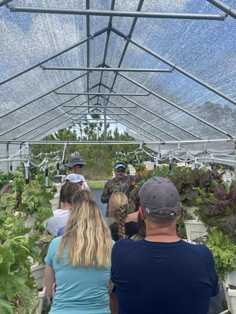 Team members learning about hydroponics farming inside a shade home.